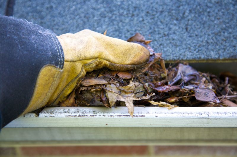 Gutter Debris Removal